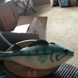 Blue Decorative Fish